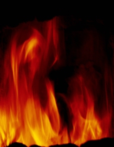 hth华体登录入口