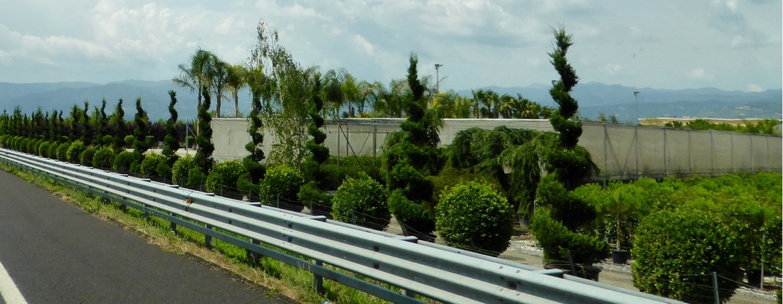 【hth华体登录入口】市场蓝海掘金工业机器人要怎么寻找出路?(图2) hth华体登录入口