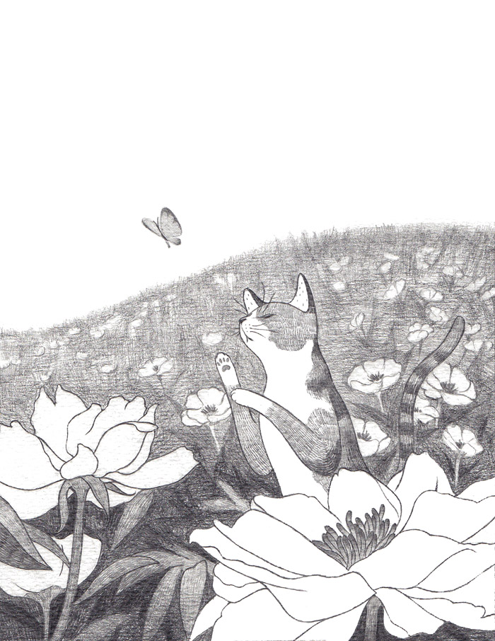 hth华体登录入口