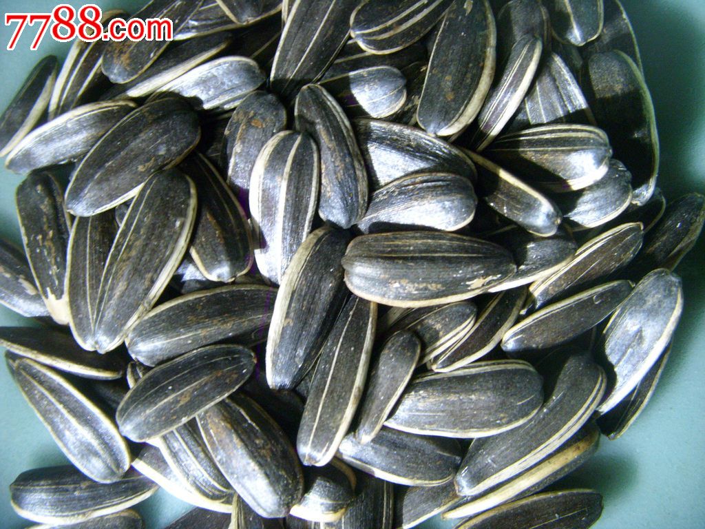 hth华体登录入口_首届维信诺未来显示创意设计大赛启动(图4) hth华体登录入口