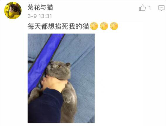 ‘hth华体登录入口’芜湖再建一个“旅游度假区”(图1) hth华体会