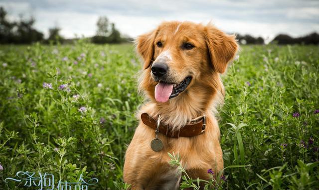 学插画一定要从素描开始?打造“创意性”视角-那特艺术学院“hth华体会”(图2) hth华体会