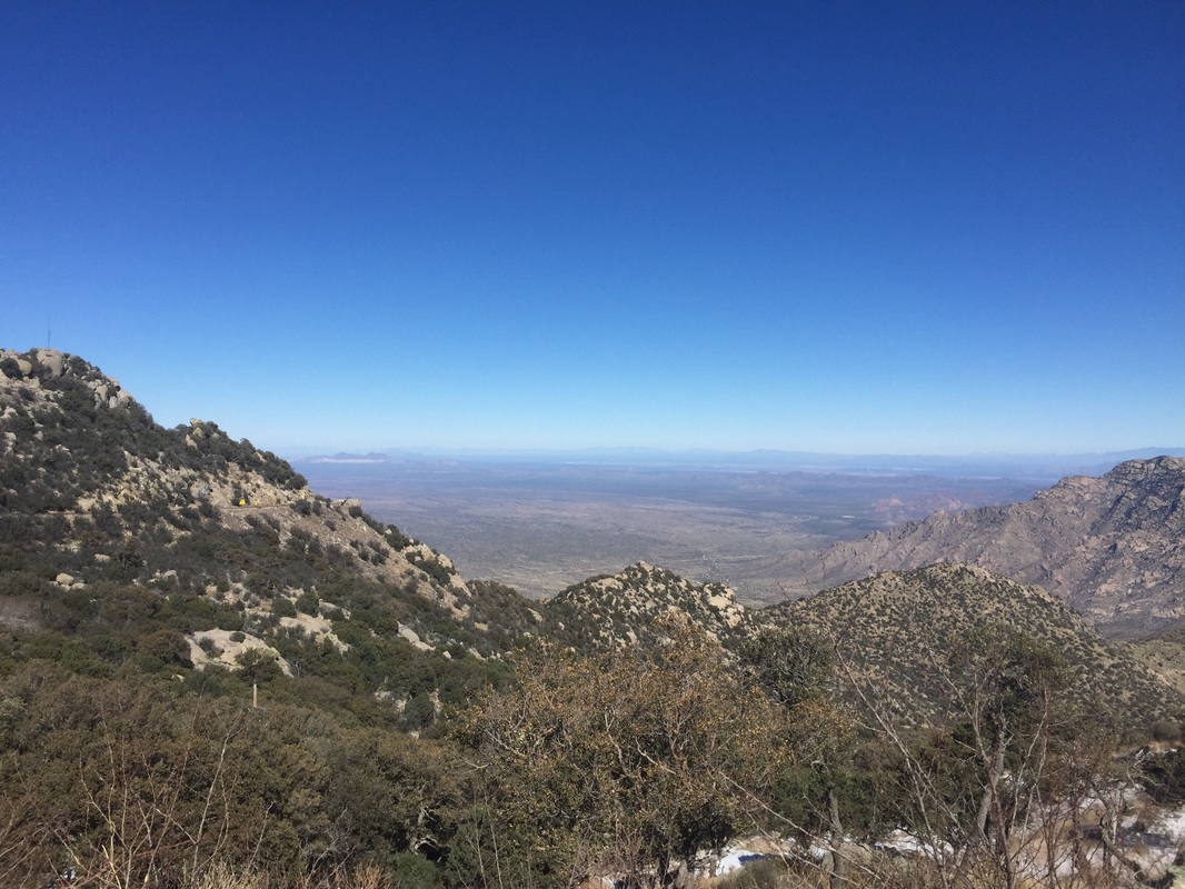 “hth华体登录入口”楼市不温不火节后走势仍看政策“脸色”(图1) hth华体会