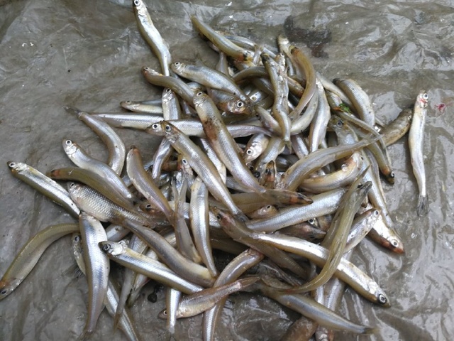 ‘hth华体登录入口’非洲重视世界水资源论坛(图1) hth华体登录入口