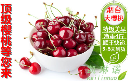 hth华体登录入口