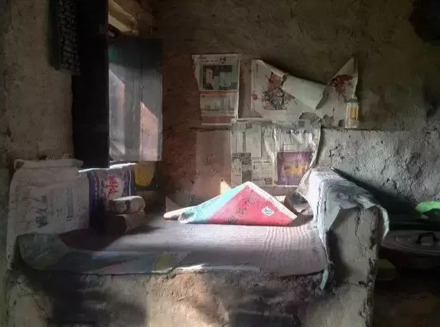 hth华体登录入口