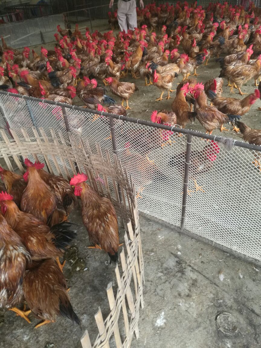 hth华体登录入口