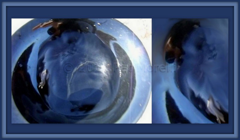 hth华体登录入口