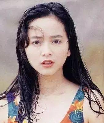 hth华体登录入口