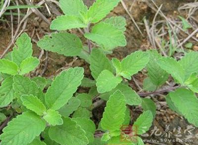 hth华体登录入口