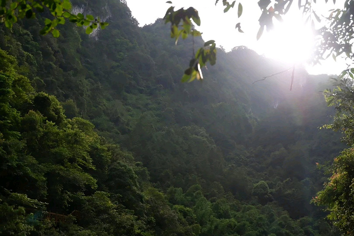 hth华体登录入口