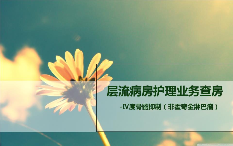 hth华体登录入口