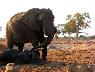 hth华体登录入口