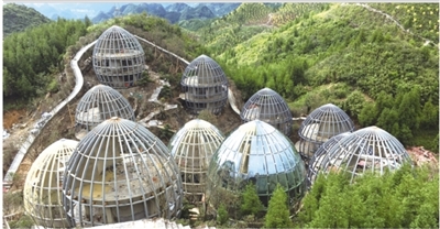 hth华体登录入口