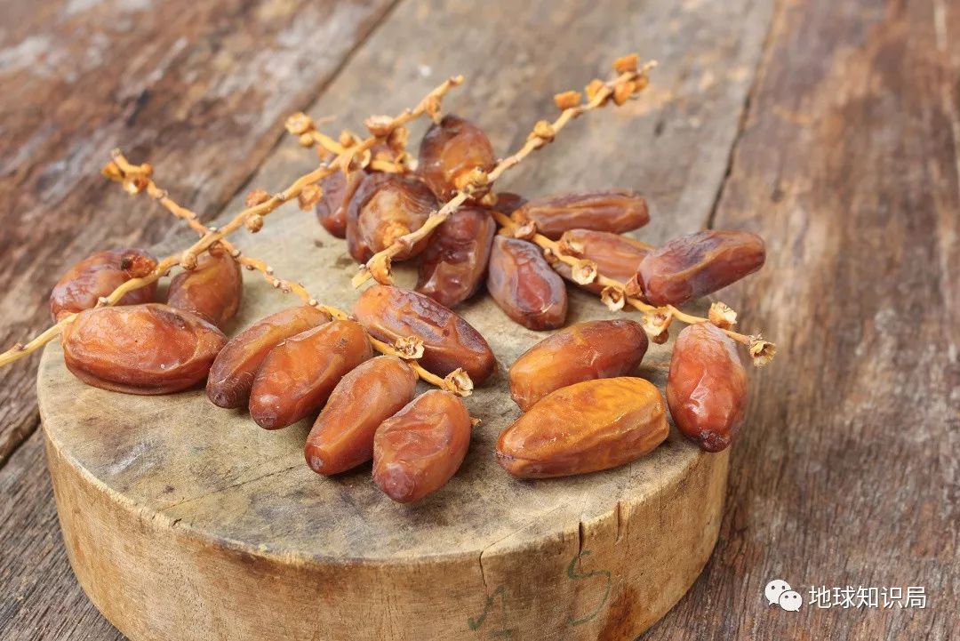 hth华体登录入口