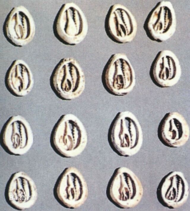 hth华体登录入口