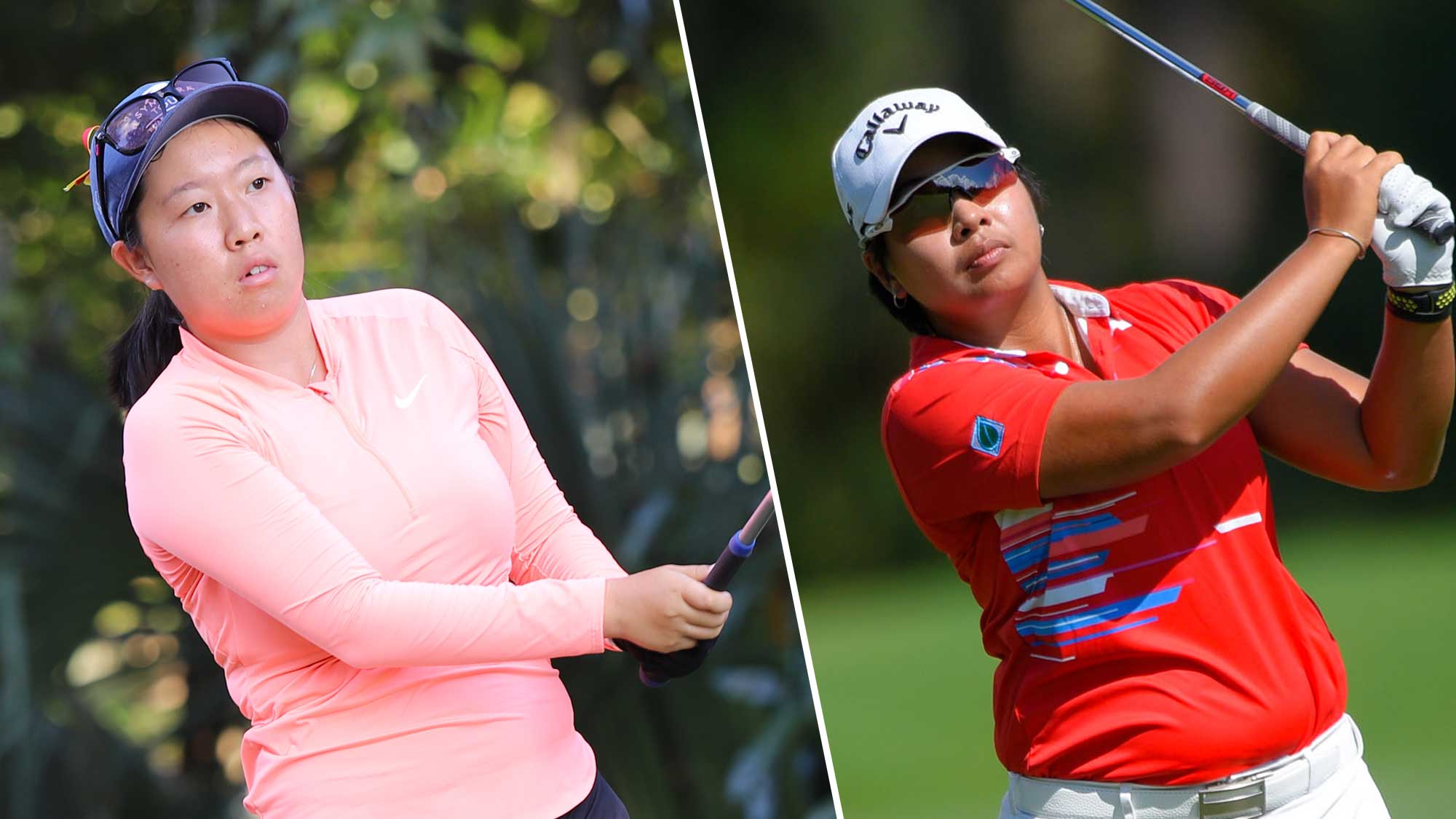 hth华体登录入口