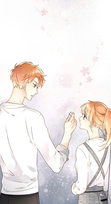 hth华体登录入口