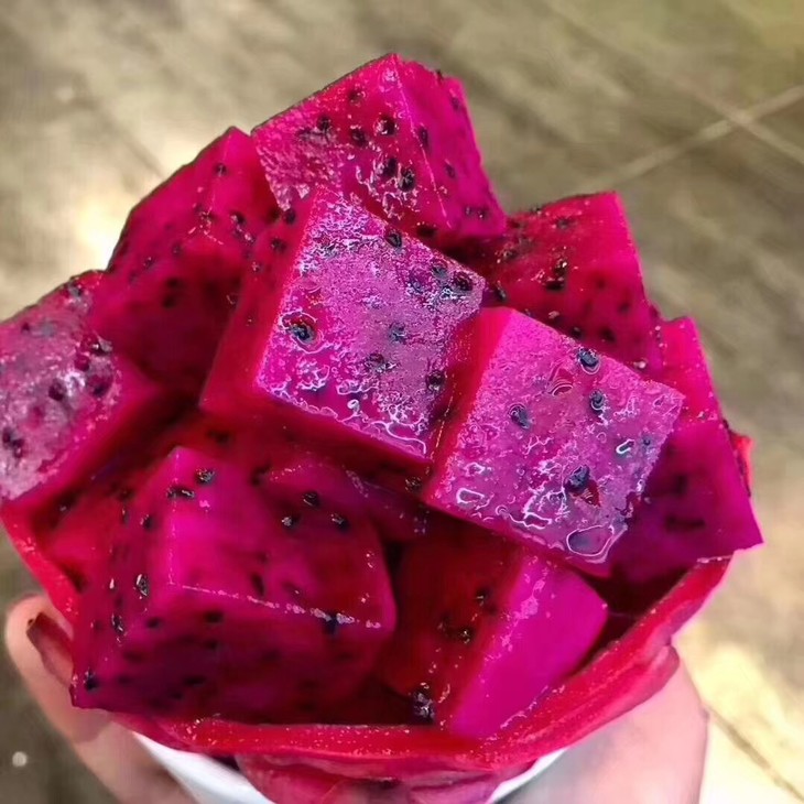 hth华体登录入口