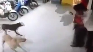 hth华体会