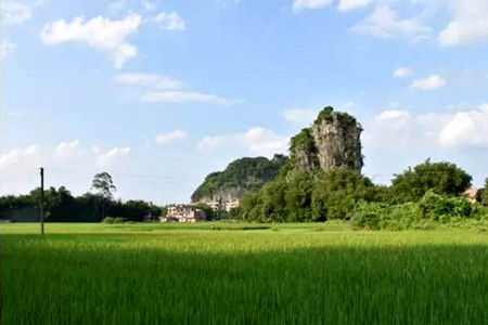 hth华体登录入口|府西社区:在职党员积极参与社区绿化补植(图4) hth华体登录入口